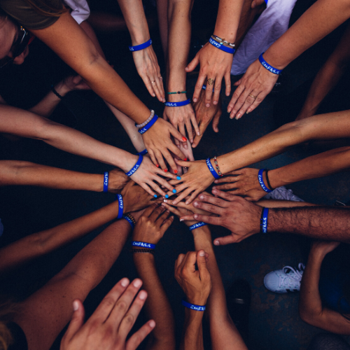 Programme Humanis : Expertise